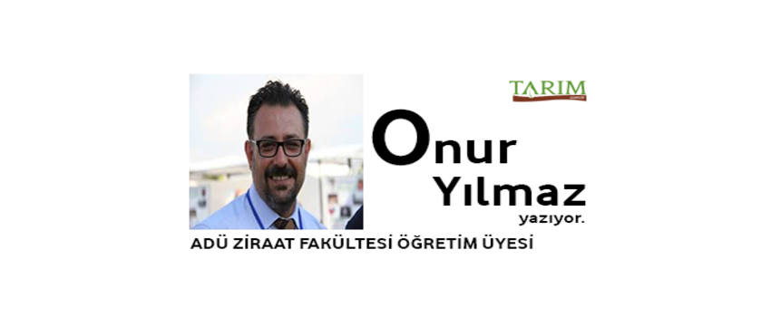 KURBANLIK SEÇİMİNDE VE KESİMDE DİKKAT EDİLECEK KONULAR