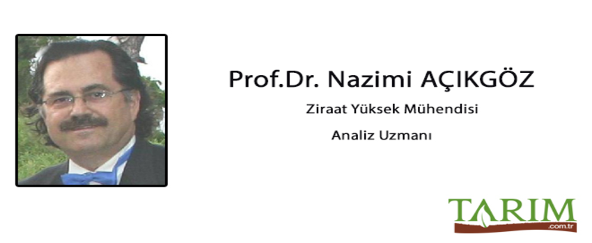 Bitki Bazlı Et, Süt, Balık Konusunda Nerelerdeyiz?