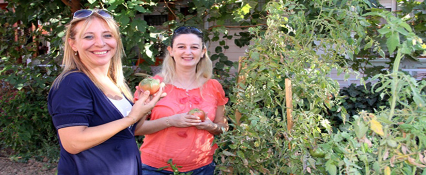 Çanakkale Toprakları Organik Tarım İçin Çok Uygun