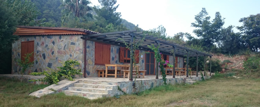 Şemsa Pozcu Organik Çiftliği