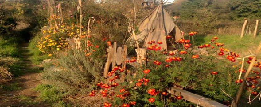 Toplum Destekli Permakültür Uygulama ve Ortak Doğal Yaşam Çiftlikleri Projesi