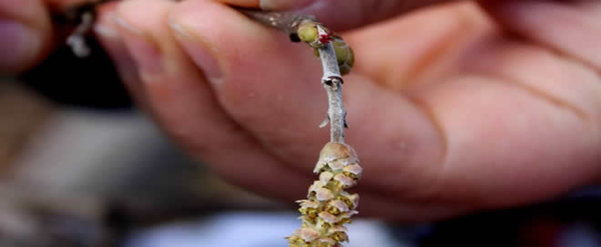 `Üreticilere Ürün Bazlı Destekleme Verilmelidir`