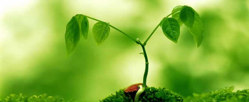 ` Üreticiler Analiz Değerlerinin Olmaması Sonucunda Pek Çok Sorunu Yanlış Teşhis Ediyorlar`