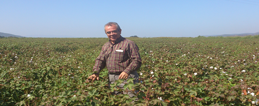 Maliyet Düşürülürse Üretimde Artış Hızlanacak