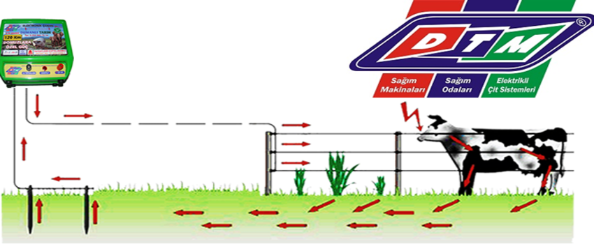 Hayvancılıkta Dumanlı Farkı