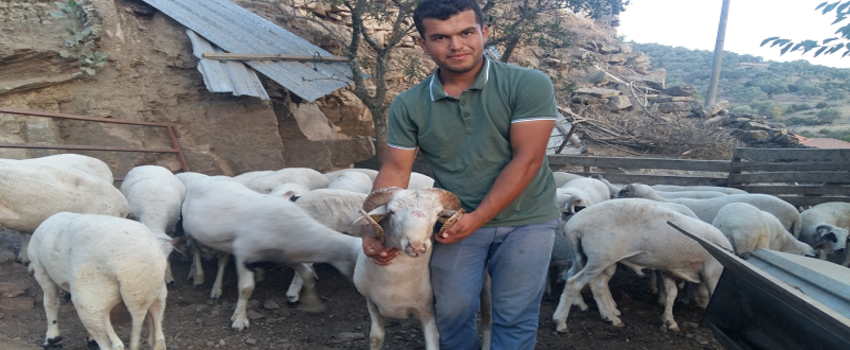 Köyüne, Hayvanlarına Geri Dönen Akıllı Çiftçi Musa Akıllı