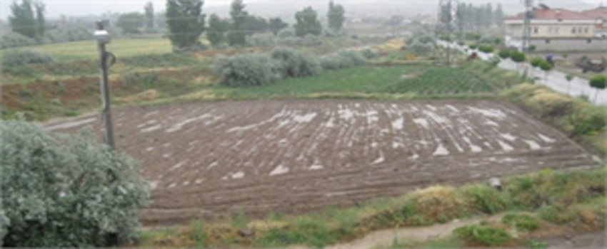 Niğde`deki Patates Tarlaları Sular Altında