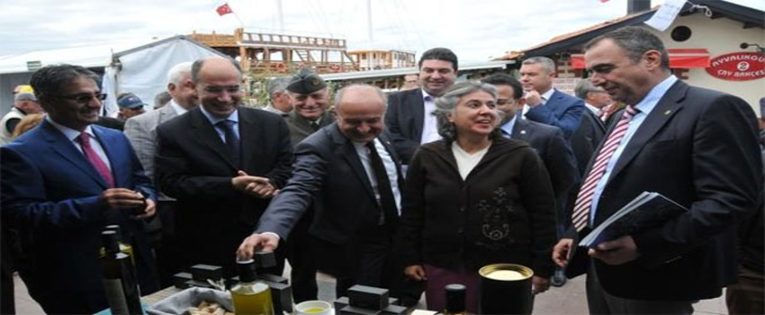 10. Ayvalık Zeytin Hasat Günleri Başladı