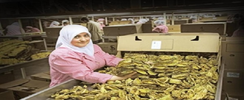 Tütün İhracatı Yüzleri Güldürdü