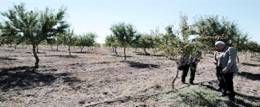 Yozgat`ta Organik Tarım Çalışması