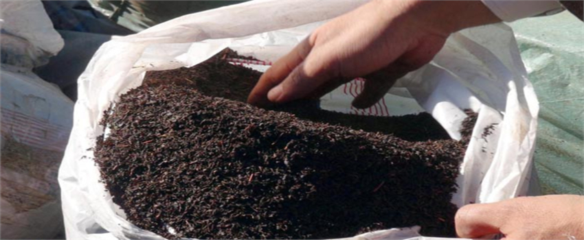 Bayburt`ta 17 Ton Kaçak Çay Ele Geçirildi