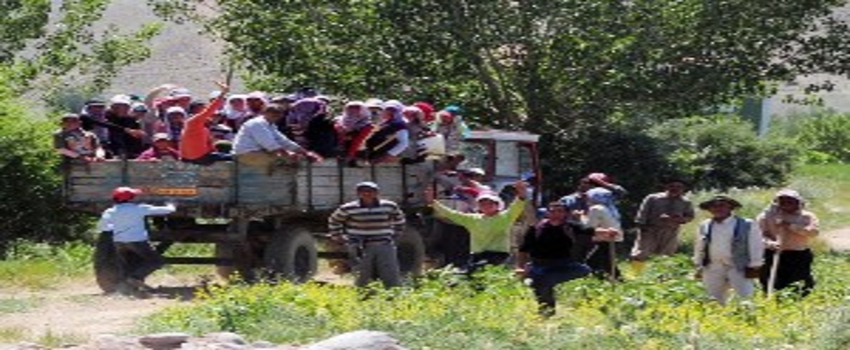 `Mevsimlik Tarım İşçilerinin Kayıt Altına Alınamaması En Önemli Sorun`