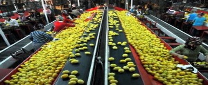 Tarımda İhracat da İthalat da Artıyor