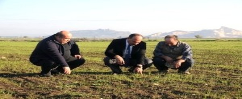 Ceyhan`a Yapay Mera Tesisi
