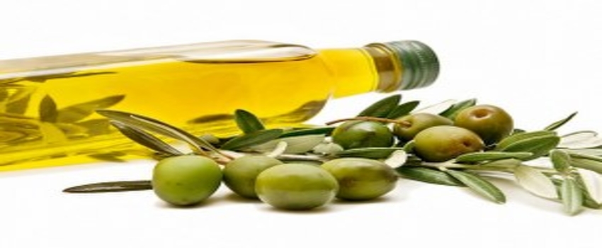 Burhaniye Zeytin ve Zeytinyağı Tarım Satış Kooperatifinden Alım Rekoru