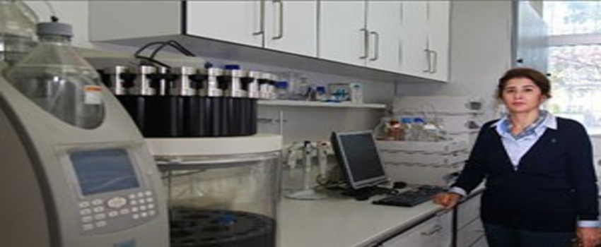 Hayvanlar İçin Kullanılan Antibiyotikler Çevresel Tehdit Oluşturuyor