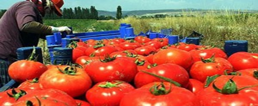 İhracatı Rusya krizi vurdu
