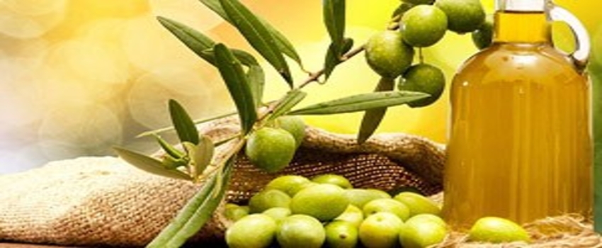 ZZTK, bu ay üç ülkede zeytin tanıtacak