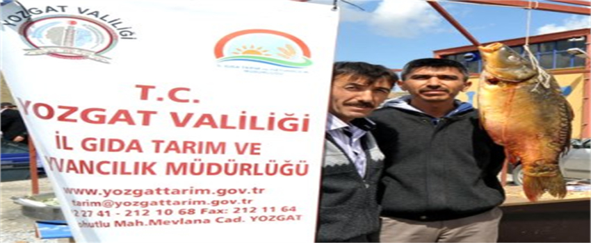 Gölet ve Barajlarda 1 Nisan İtibariyle Su Ürünleri Avlanması Yasak