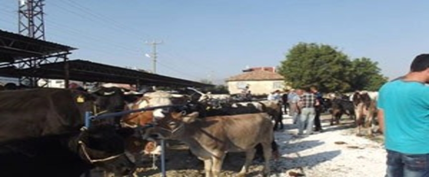 Isparta`da Kapatılan Hayvan Pazarı Kullanıma Açıldı