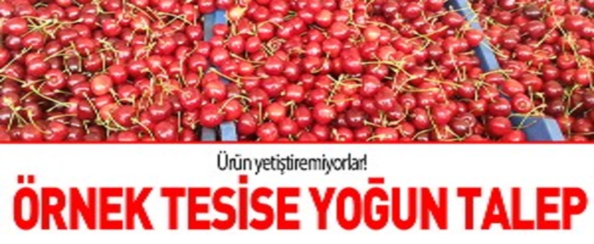 Örnek tesise yoğun talep!