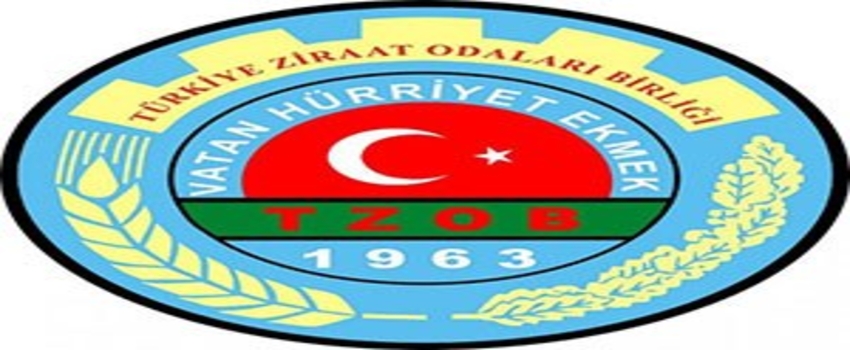Otomasyonda eğitim atağı
