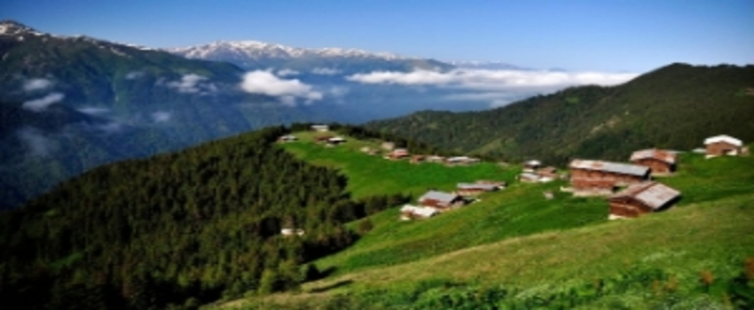 Doğu Karadeniz Bal Deposu