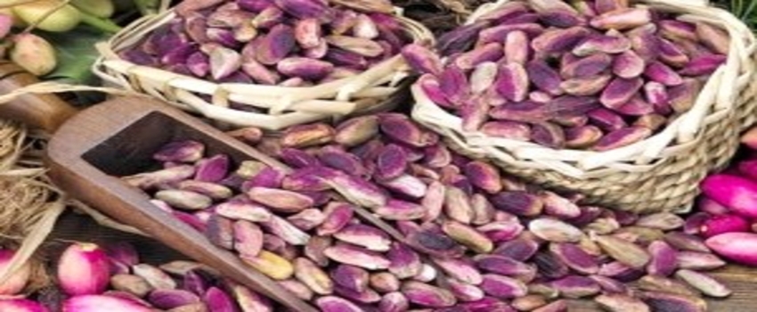 Fıstıkta Sulama İle Birlikte Verim Artışı Yaşandı
