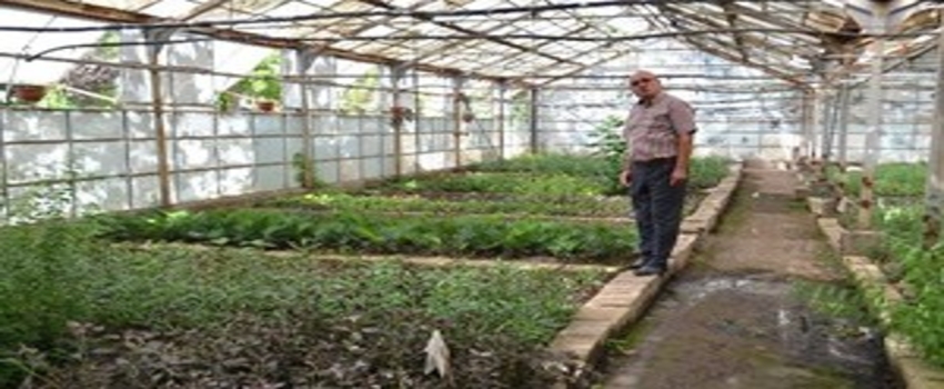 Hatay`da 12 Milyon Fidan Üretilip 8 Kente Dağıtılıyor
