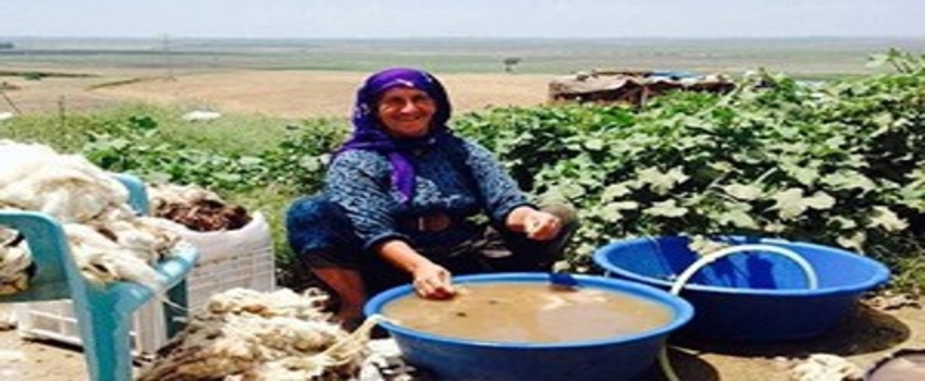 Kaybolan Hayatlar Mevsimlik Tarım İşçileri