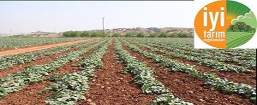 Andırın`da İyi Tarım Uygulamaları Eğitimi Verildi
