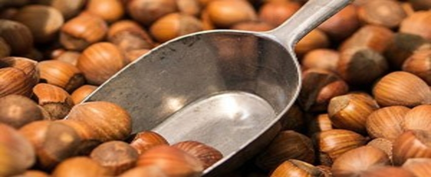 Fındıktan bir ayda 295 milyon geldi