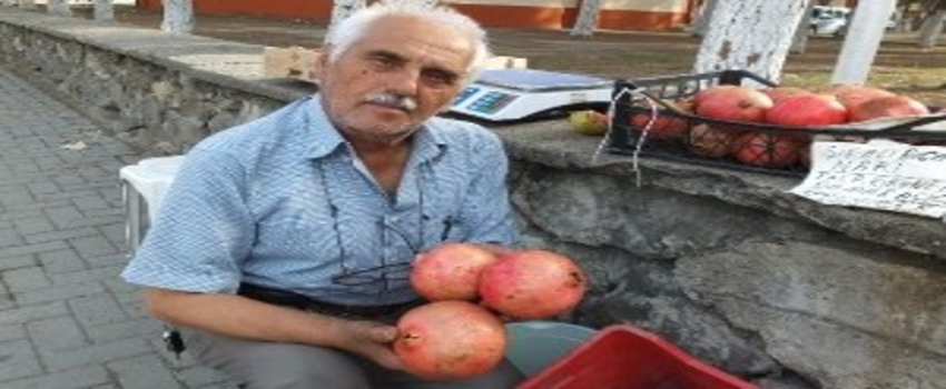 Hicaz Narı Şifa Kaynağı