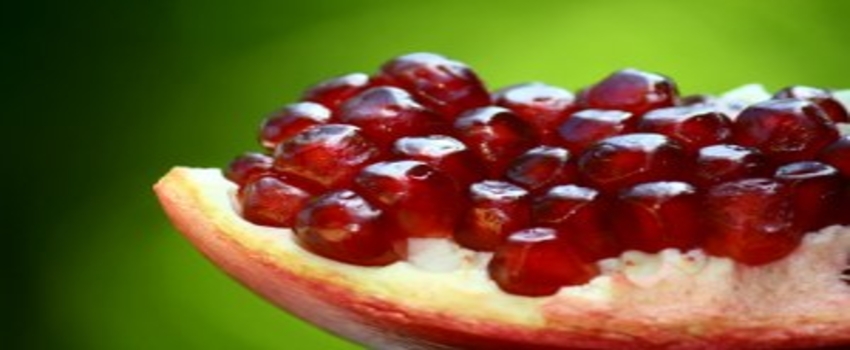 İdil`de Nar Hasadı Başladı