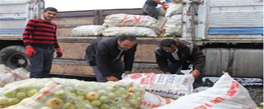 Iğdır`da Organik Tarım Biyoçeşitlilik Arttı