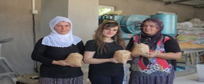 Kadın Patron, 2 Kadın İşçisi İle Birlikte Leblebi Fabrikası Açtı