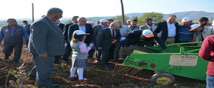 Patates Ekim Alanları Artıyor
