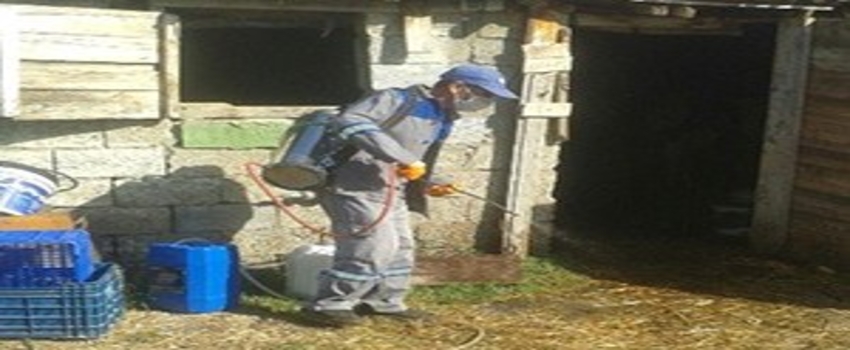 Büyükşehir Belediyesi Ekipleri Hayvan Barınaklarını İlaçladı