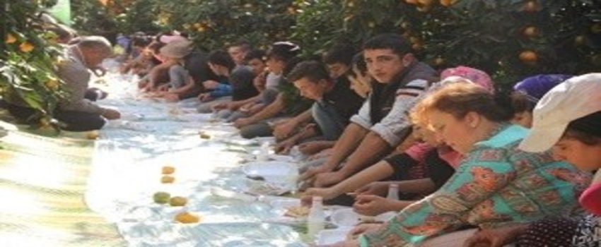 Dörtyol Narenciyesi Emin Ellerde` Projesi Hayata Geçirildi
