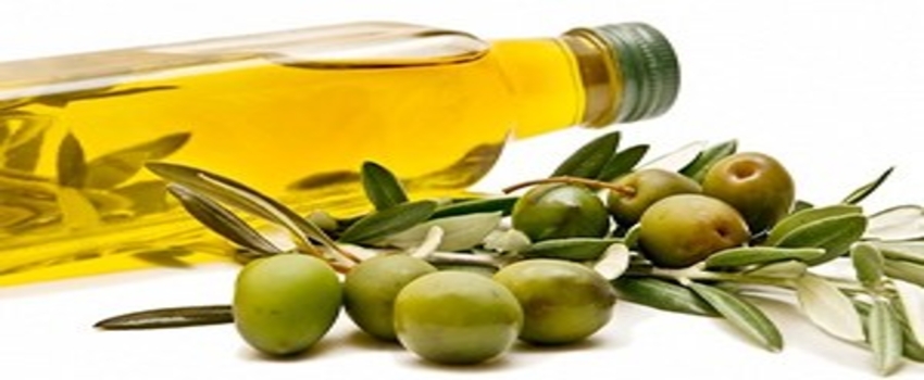 Türk Zeytin Ve Zeytinyağı ABD`de Tanıtıldı