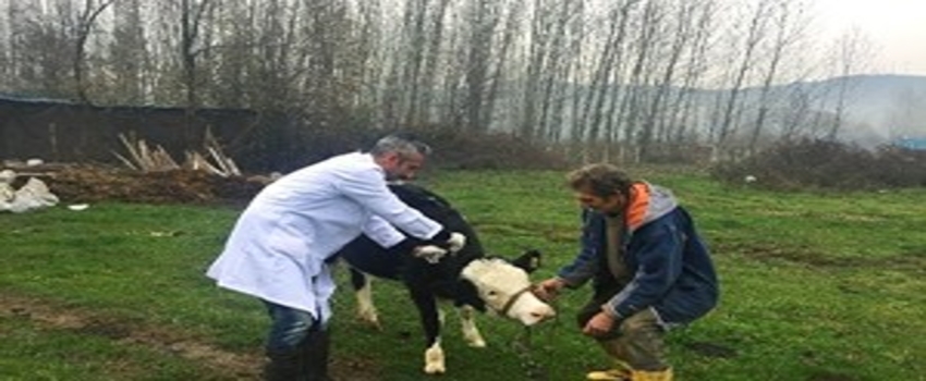Bartın`da `Nepal Şapı` Karantinası