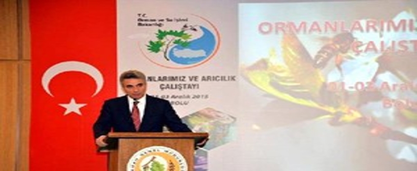 Bolu`da, `Ormanlarımız ve Arıcılık Çalıştayı`