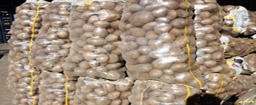 Patates Fiyatları Düştü, Stok Başladı
