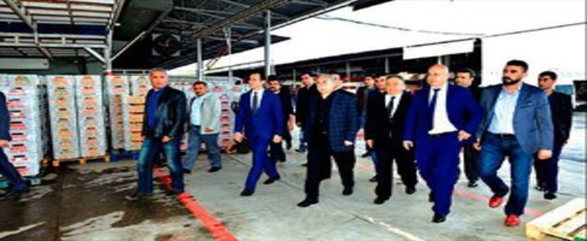 Türkiye`nin Önemli Tarım Üretim Merkezi: Çukurova