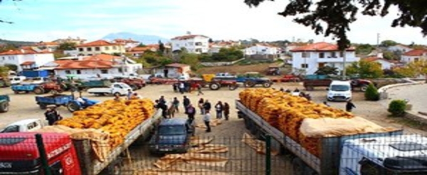 Büyükşehir`den Çiftçilere Patates Tohumu Desteği