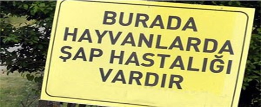 Ardahan`daki Şap Karantinası, Kısmen Kalktı