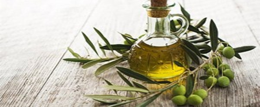 Zeytinyağı Fabrikalarının Gıda Mühendis Sorunu TOBB`a Taşındı