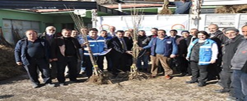 Gümüşhane`de Çiftçilere Meyve Fidanı Dağıtımı Yapıldı