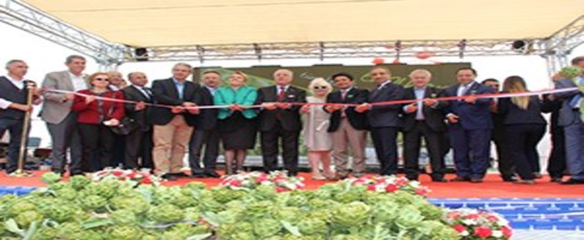 Urla`da Uluslararası Enginar Festivali Çoşkusu