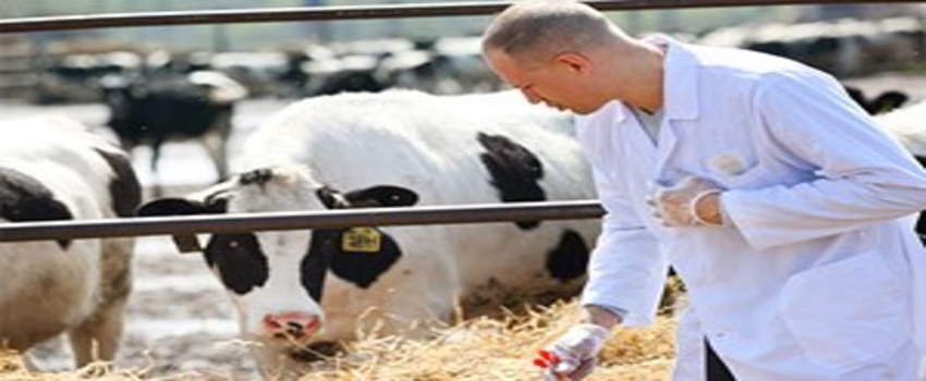 Veteriner Tıbbi Ürünlerinin Kullanım ve İhracatı